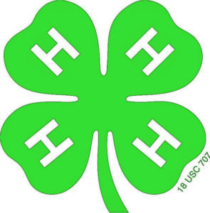 4-H’ers hold virtual ceremony