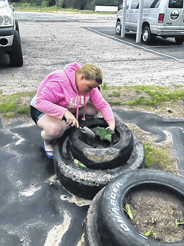 
			
				                                Emily Delp helps plant an alternative garden at Harvest Ministries.
 
			
		