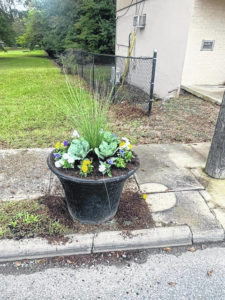 Flowers to beautify Ansonville
