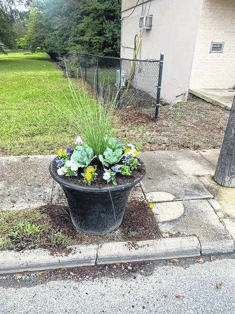 
			
				                                Ansonville’s Adopt-a-pot program allows community members to plant flowers in memory of a loved one. The first one is in memory of Gracie Carpenter. 
                                 Contributed Photo

			
		