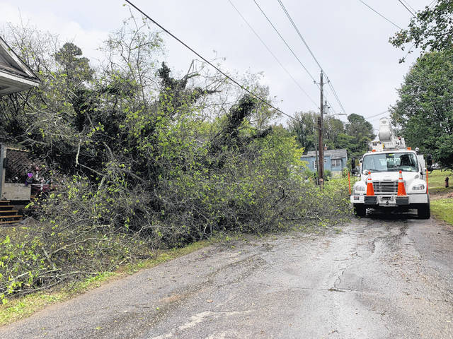 
			
				                                Duke Energy sorts through branches of a tree to bring back power to residents on Oct. 12.
                                 Liz O’Connell | Anson Record

			
		