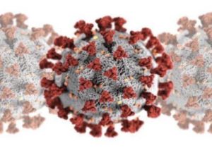 Two more COVID-19 deaths reported, total now 8