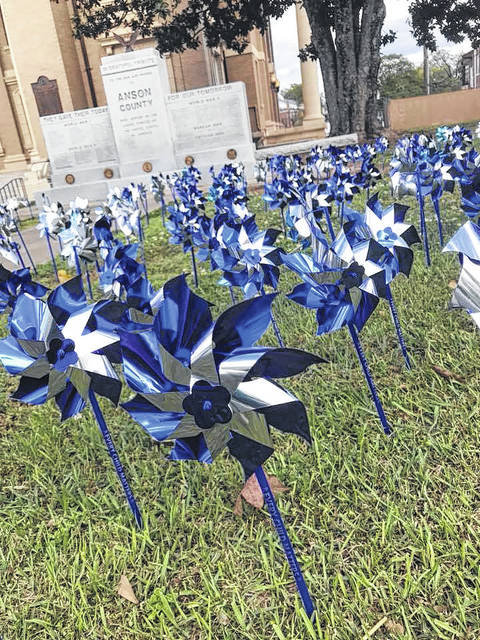 
			
				                                The Anson County Partnership for Children will host a Pinwheels for Prevention with the Anson County Domestic Violence Coalition to celebrate Child Abuse Prevention Month during the first week of April.
                                 Contributed Photo

			
		