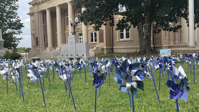 
			
				                                Pinwheels line the Anson County Courthouse lawn to raise awareness for April’s Child Abuse Prevention Month.
                                 Liz O’Connell

			
		