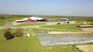 Local farm receives grant for green technology