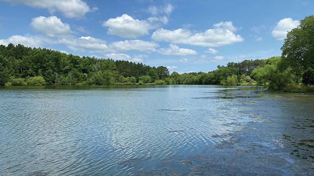 
			
				                                The Town of Marshville purchased 111 acres of land to open a new park off of U.S. 74.
 
			
		