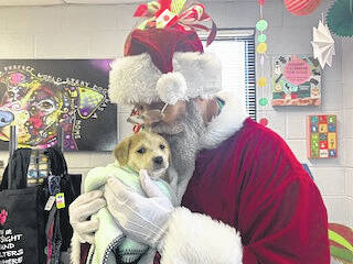 
			
				                                Santa Paws comes to visit.
                                 Hannah Barron | Anson Record

			
		