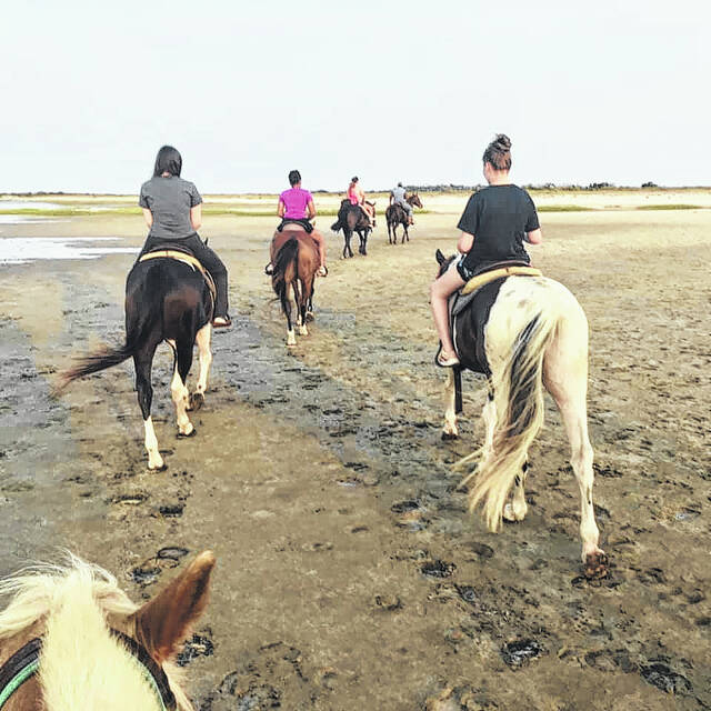 
			
				                                Girl Scouts ride horses in the Outer Banks.
                                 Contributed photo

			
		