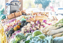
			
				                                Wingate University students will soon be able to learn about the business and science of agriculture to help give back to the community.
                                 Gallery photo

			
		