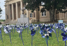 
			
				                                Anson will soon be decorated with pinwheels for National Child Abuse Prevention Month.
                                 Gallery photo

			
		
