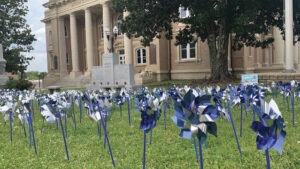 Pinwheels to support Child Abuse Prevention Month