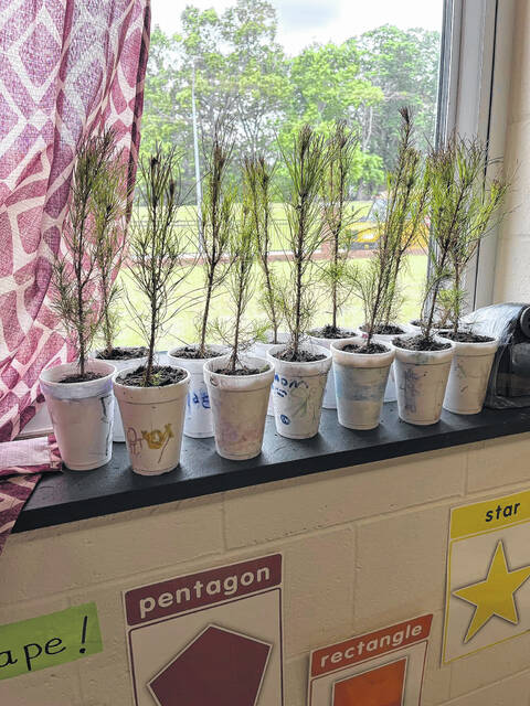 The finished projects ready to go home.
                                 Photo courtesy of Wadesboro Primary School