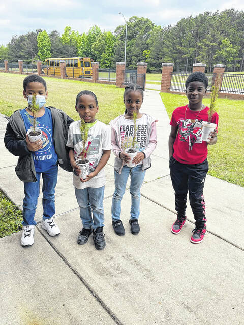 Students in Mrs. McBrides class designed cups and planted pine trees for a unique and environmentally friendly Mothers Day project.
                                 Photo courtesy of Wadesboro Primary School