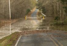 
			
				                                Grassy Island Road, County Road 1634 east bound to Lilesville
                                 Photos courtesy of Kirby Photo Suite 

			
		