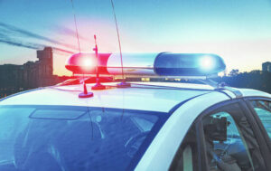 Aggressive dog dumped in neighbor’s yard