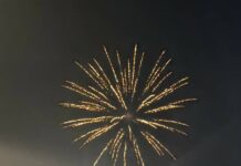 
			
				                                Fourth of July 2024: A look back
 
			
		