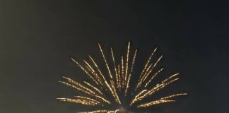 
			
				                                Fourth of July 2024: A look back
 
			
		