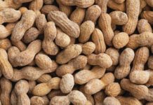 Turning peanuts into homes