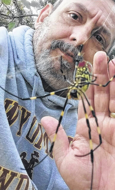 <p>Joro spiders are already common sights in Upstate South Carolina. Pictured is Jon Strickland next to a Joro in Pickens County, SC, using his hand for scale. (Photo by Kasie Strickland).</p>