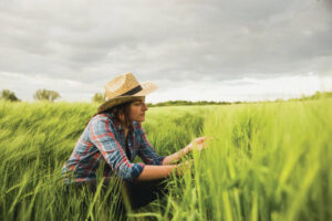 Piedmont Agricultural Scholars program returns