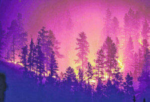 Forestry officials in NC fear growing fire and staff shortages