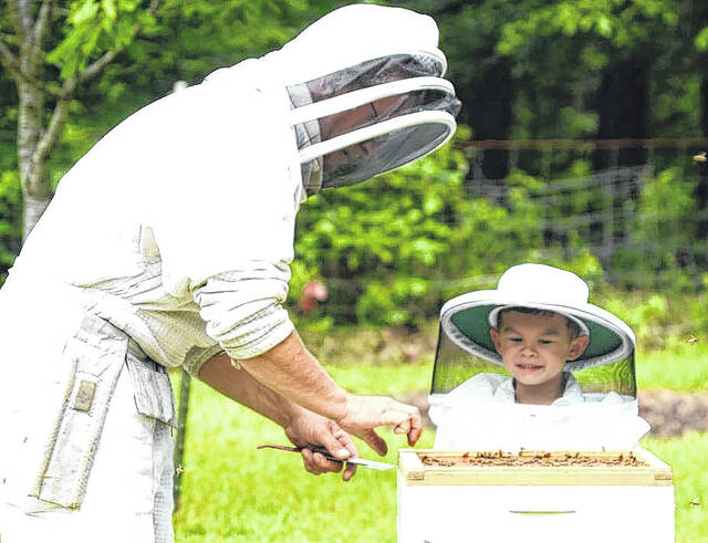 Honey bees are critical to pollinate so many foods we love to eat, and our local beekeepers work hard to keep their bees healthy.
                                 File photo