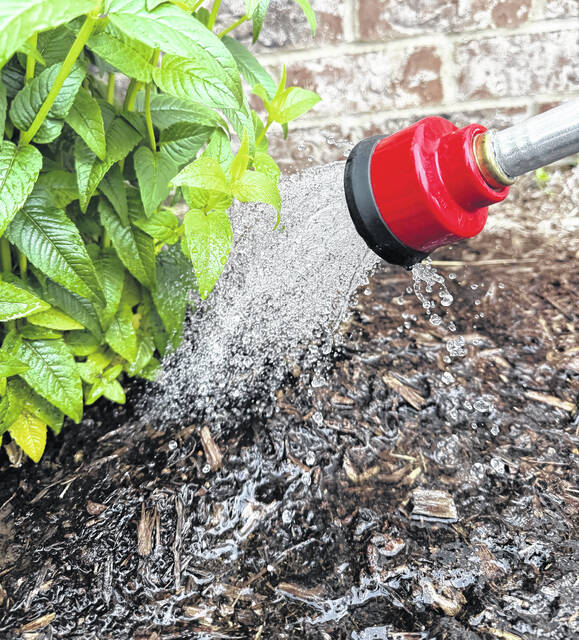 Gardening when water is limited